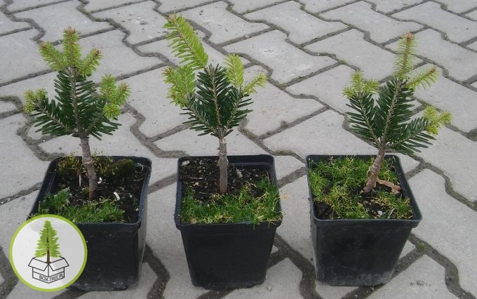 7216743224_0.jpg 7216743224