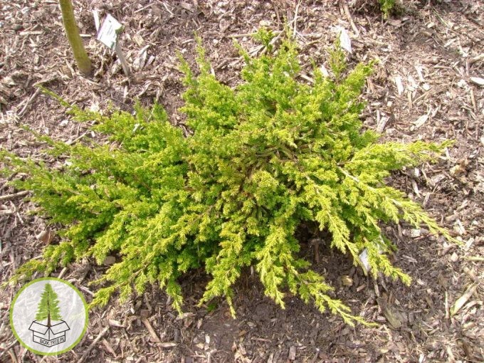 7248270424_0.jpg 7248270424