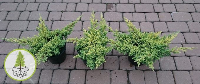 7248270424_1.jpg 7248270424