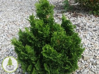 7248285667_0.jpg 7248285667