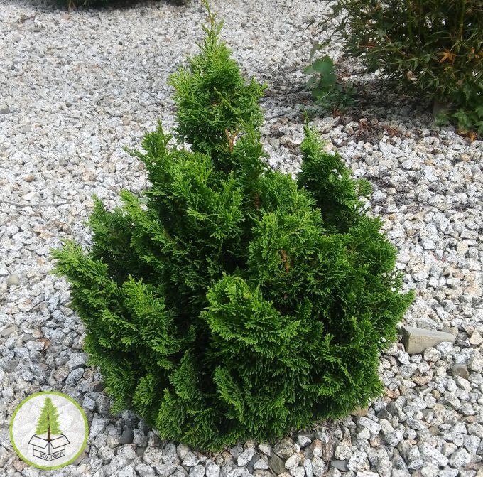 7248285667_0.jpg 7248285667