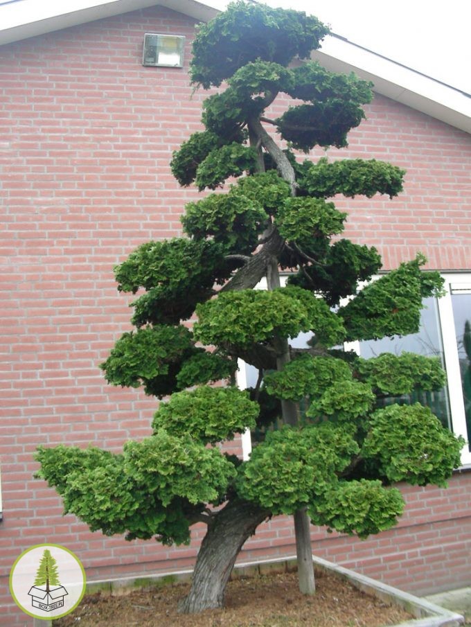 7248285667_3.jpg 7248285667