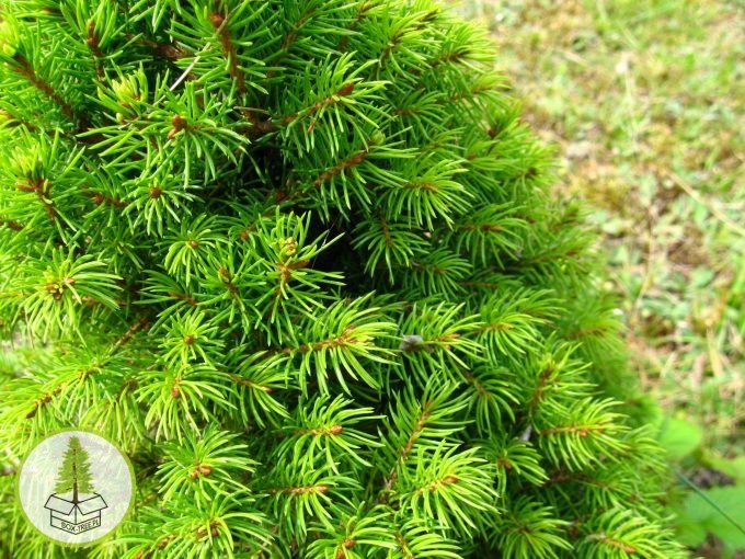 7442942075_3.jpg 7442942075