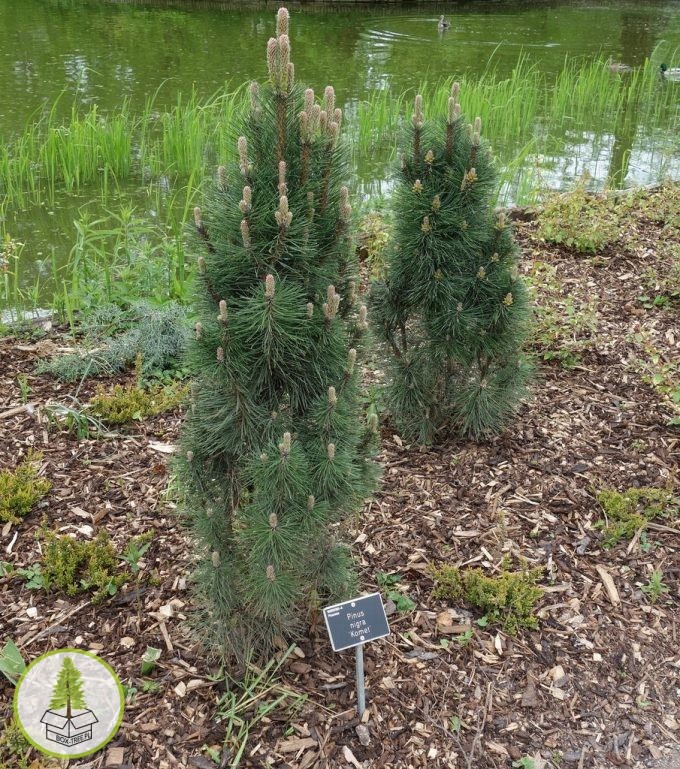 7516558083_2.jpg 7516558083