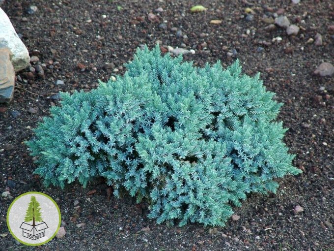 7527766233_2.jpg 7527766233