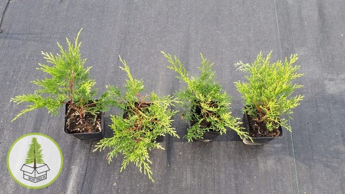 7540209305_0.jpg 7540209305