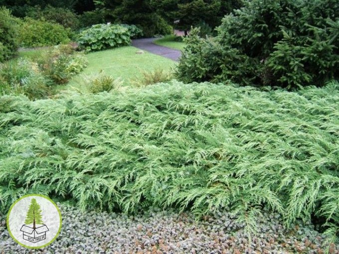 7540209305_1.jpg 7540209305