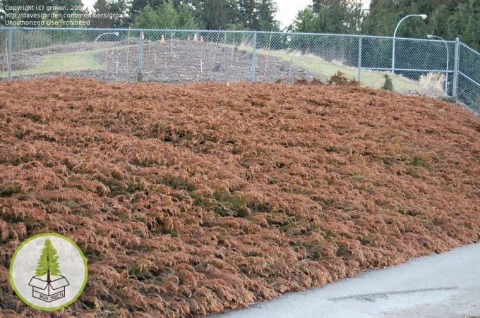 7540209305_2.jpg 7540209305