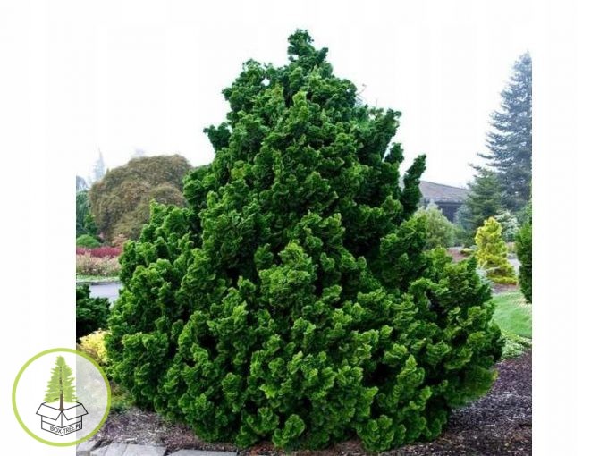 7605736632_2.jpg 7605736632