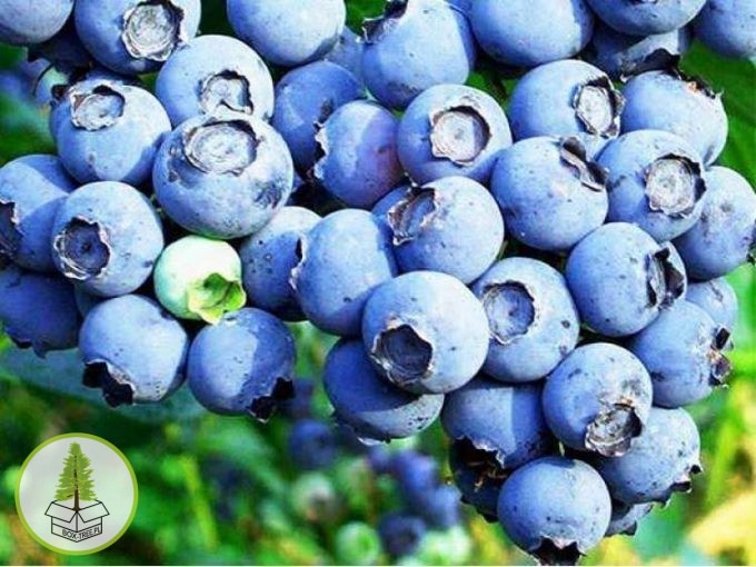 7605754737_0.jpg 7605754737