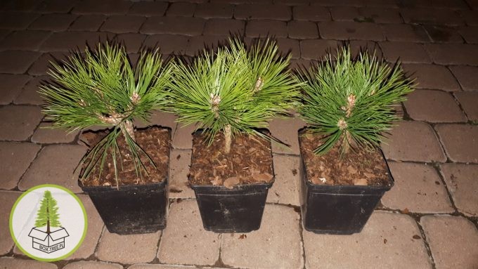 7646027230_1.jpg 7646027230