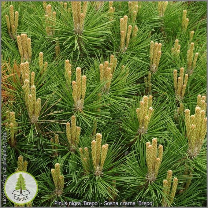 7646027230_2.jpg 7646027230