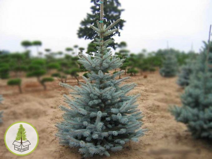 7820383002_0.jpg 7820383002