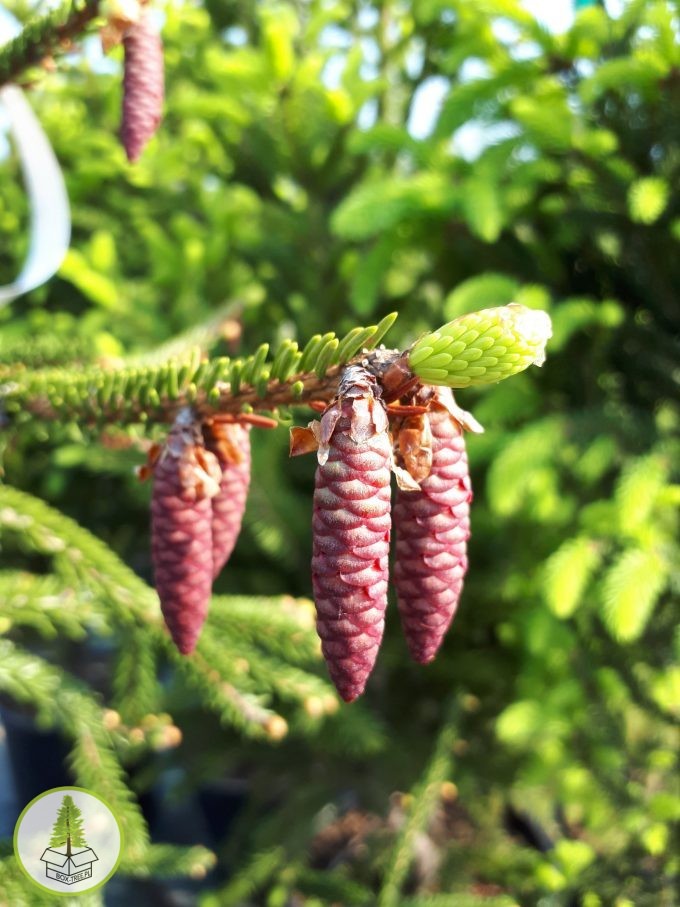 8178396963_3.jpg 8178396963