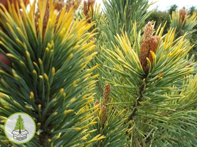 8286433661_3.jpg 8286433661