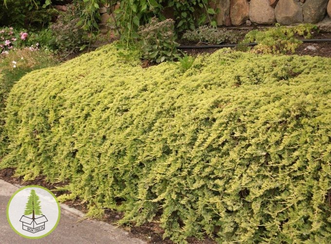 8414312271_1.jpg 8414312271