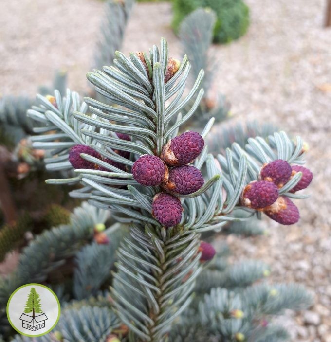 8483610012_0.jpg 8483610012