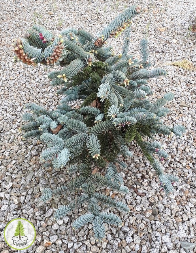 8483610012_3.jpg 8483610012