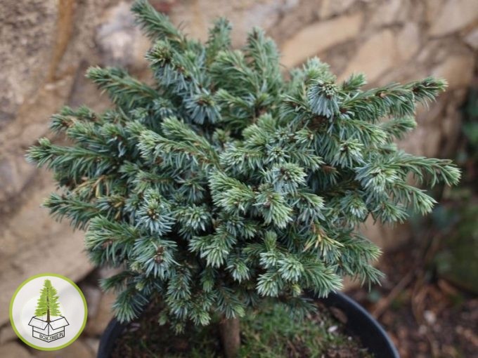 8503719789_0.jpg 8503719789