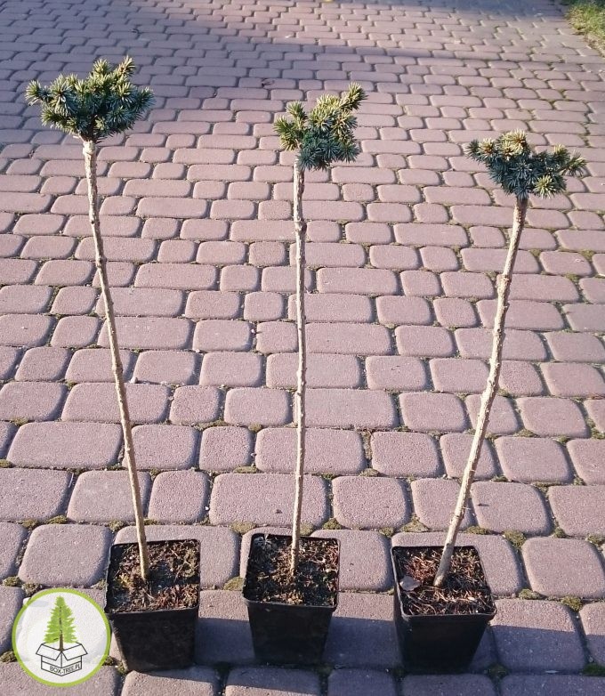 8503719789_1.jpg 8503719789