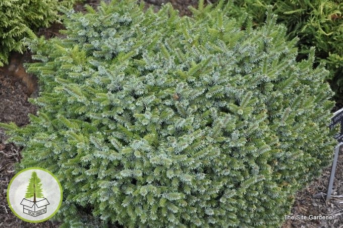 8503719789_2.jpg 8503719789