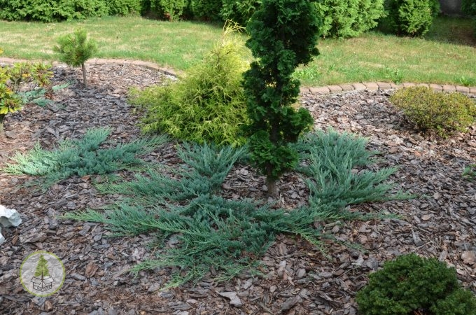 8583005178_1.jpg 8583005178