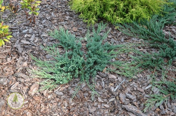 8583005178_2.jpg 8583005178