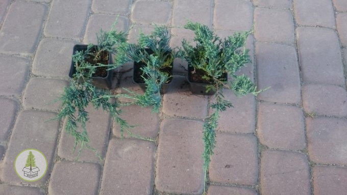 8583005178_3.jpg 8583005178